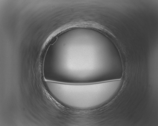X0000085741506200703160849
