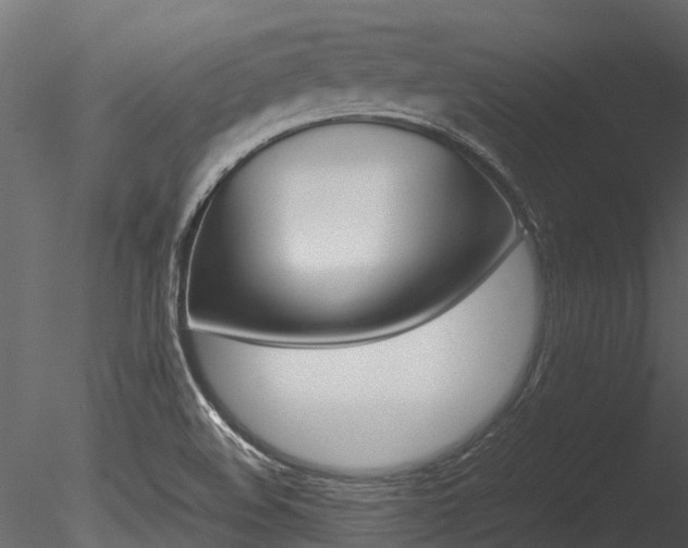 X0000085741508200703160849