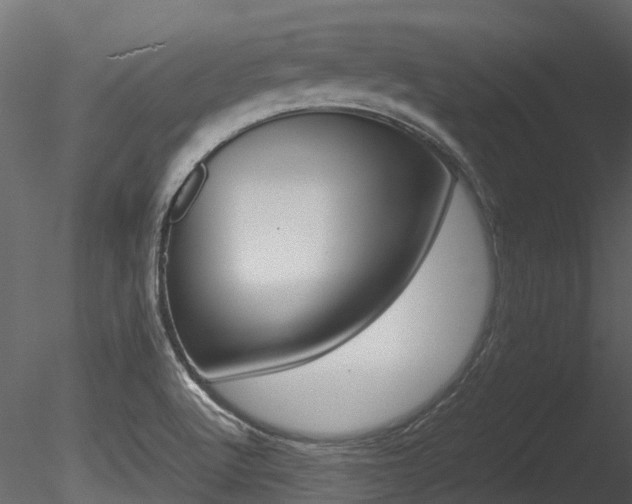 X0000085741512200703160849