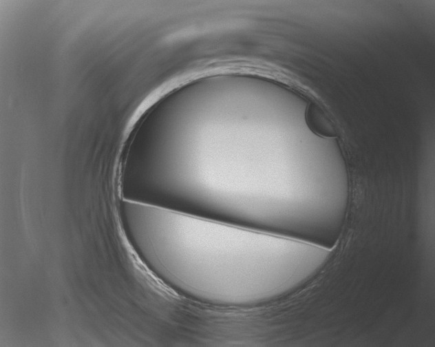 X0000085741522200703160849