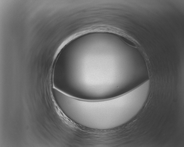 X0000085741530200703160850