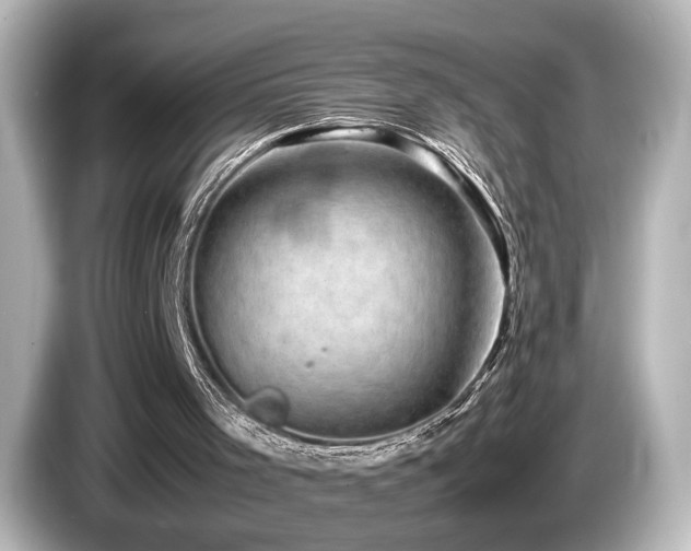 X0000085740001200703161038