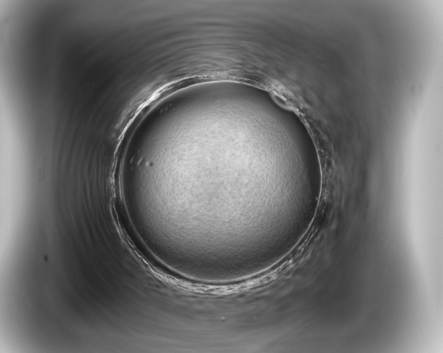 X0000085740002200703161038