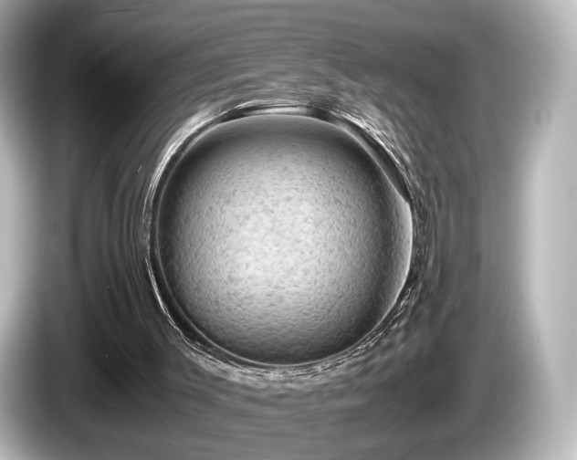 X0000085740003200703161038