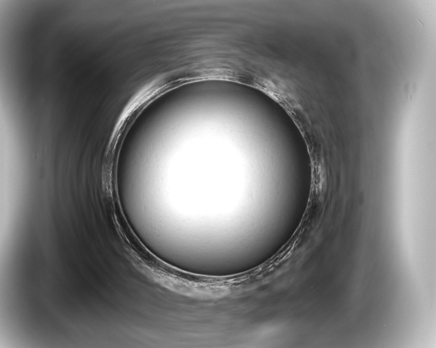 X0000085740004200703161038