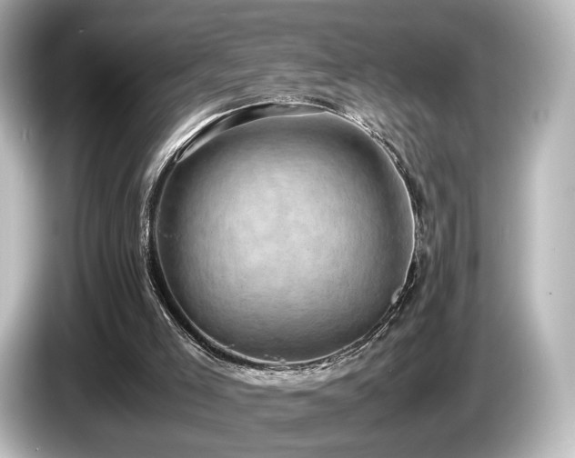 X0000085740005200703161038