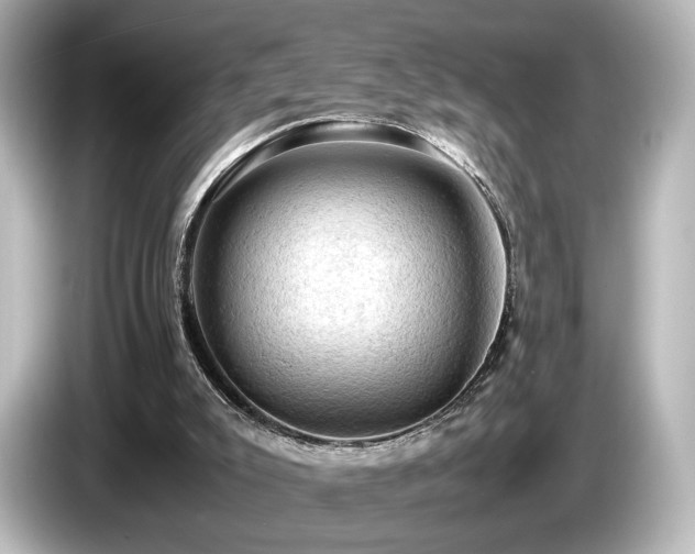 X0000085740007200703161038