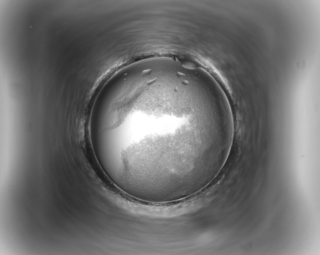 X0000085740010200703161038