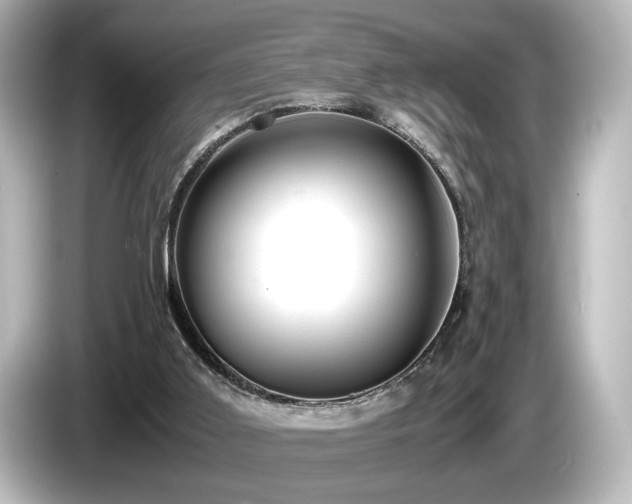 X0000085740011200703161038
