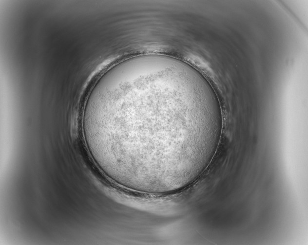 X0000085740012200703161038