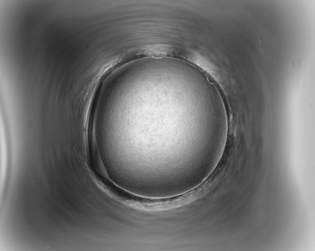 X0000085740013200703161038