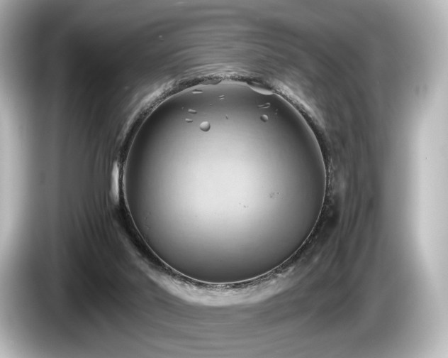 X0000085740014200703161038