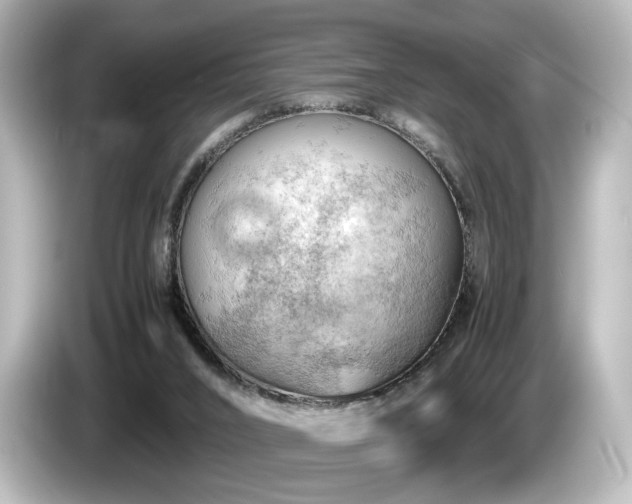 X0000085740016200703161038
