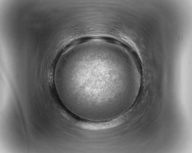 X0000085740017200703161038
