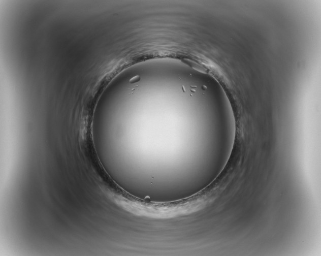 X0000085740018200703161038