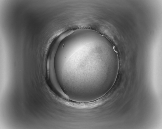 X0000085740019200703161038