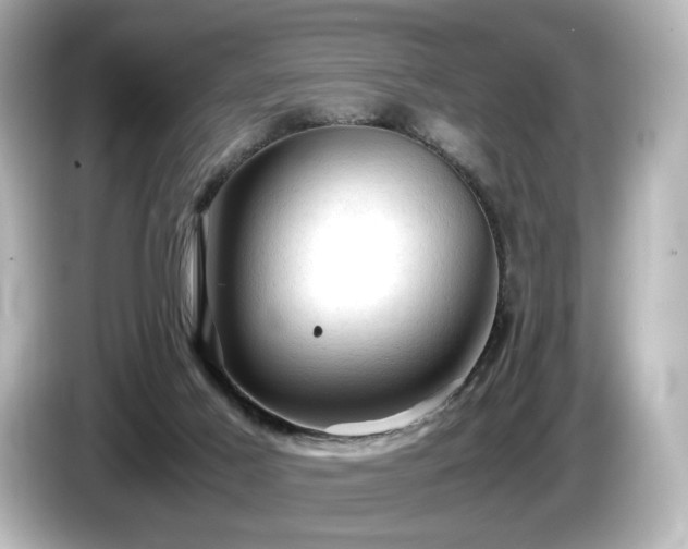 X0000085740021200703161038