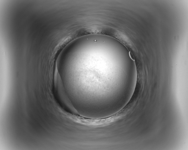X0000085740023200703161038