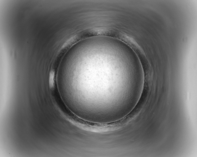 X0000085740024200703161038