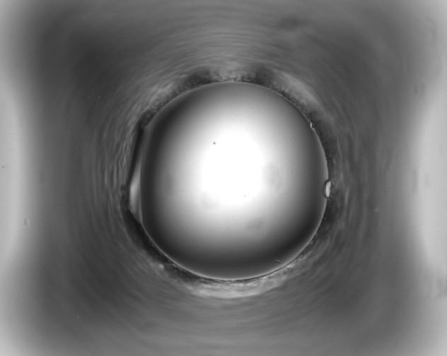 X0000085740025200703161038