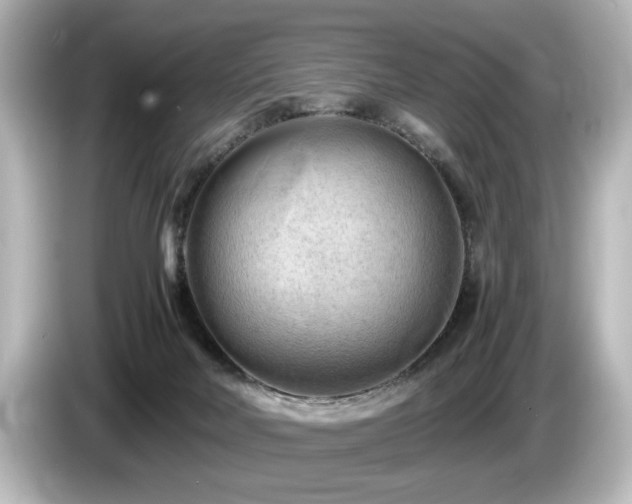X0000085740026200703161038