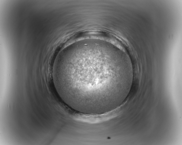 X0000085740029200703161038