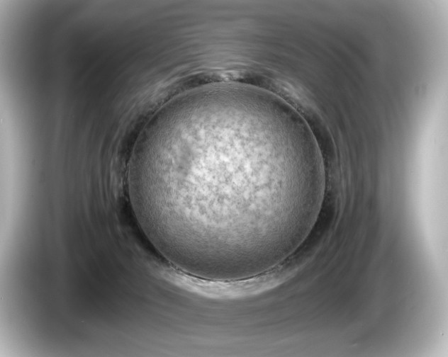 X0000085740030200703161038