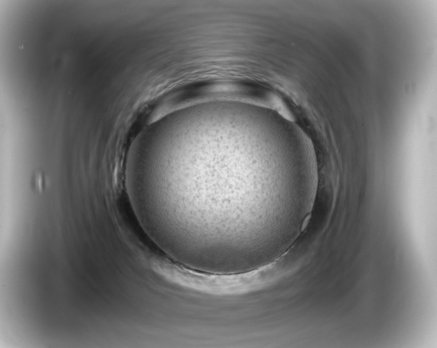 X0000085740031200703161038