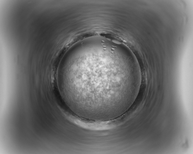 X0000085740032200703161038
