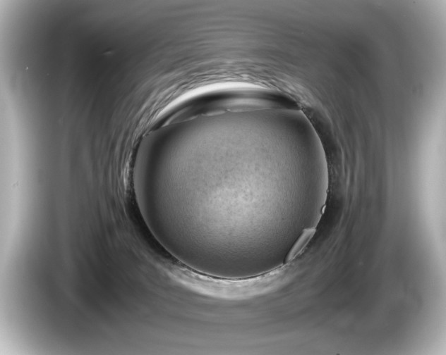 X0000085740035200703161038