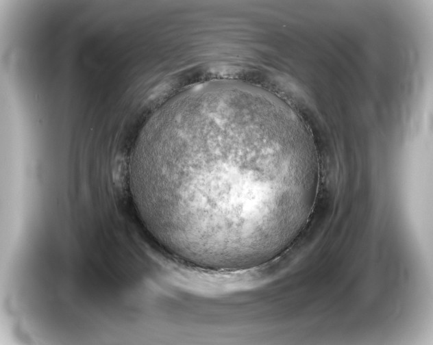 X0000085740036200703161038