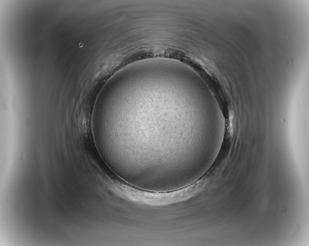 X0000085740039200703161038
