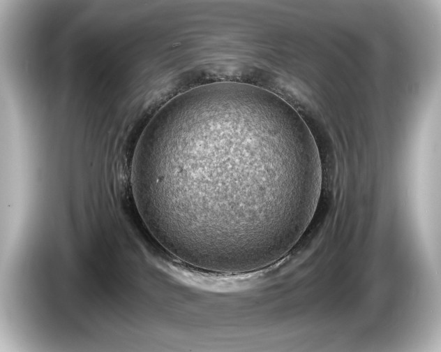 X0000085740040200703161038