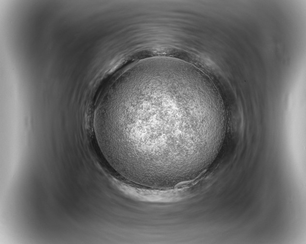 X0000085740044200703161038