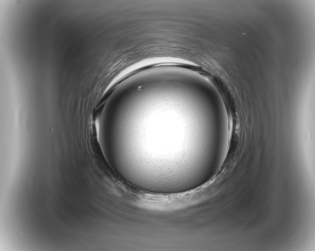 X0000085740045200703161038