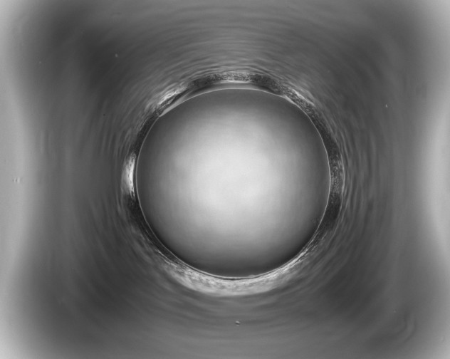 X0000085740047200703161038