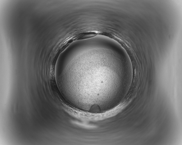 X0000085740048200703161038