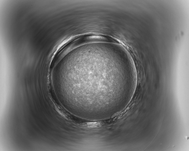 X0000085740050200703161037
