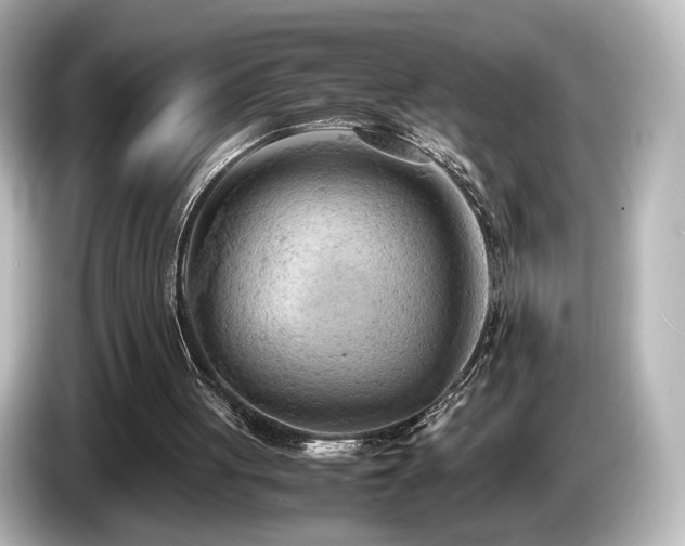 X0000085740051200703161037