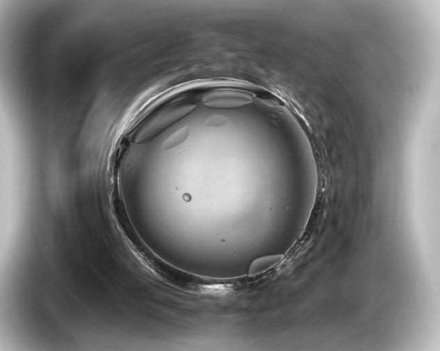 X0000085740053200703161037