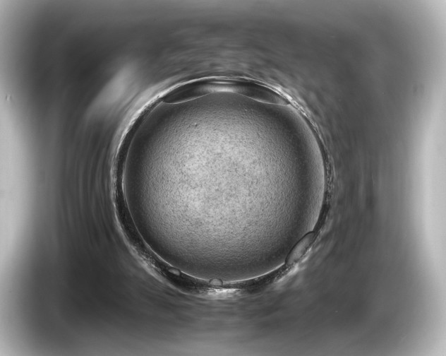 X0000085740055200703161037