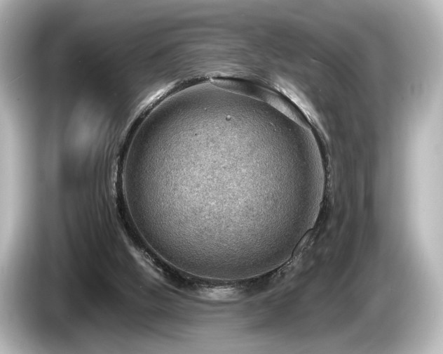 X0000085740058200703161037
