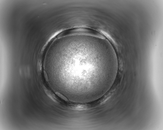 X0000085740060200703161037