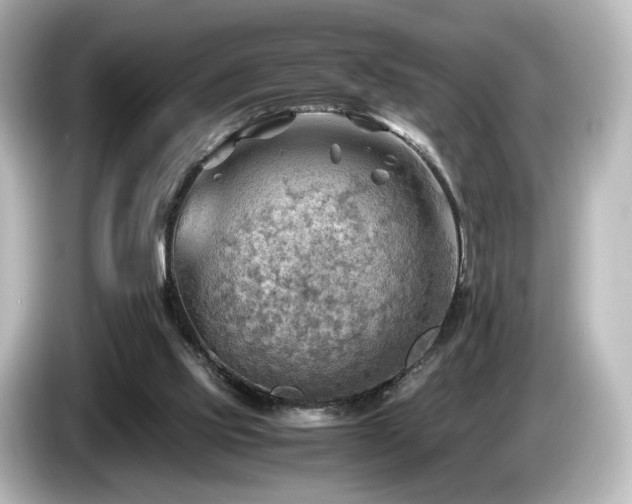 X0000085740061200703161037