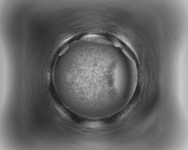 X0000085740063200703161037