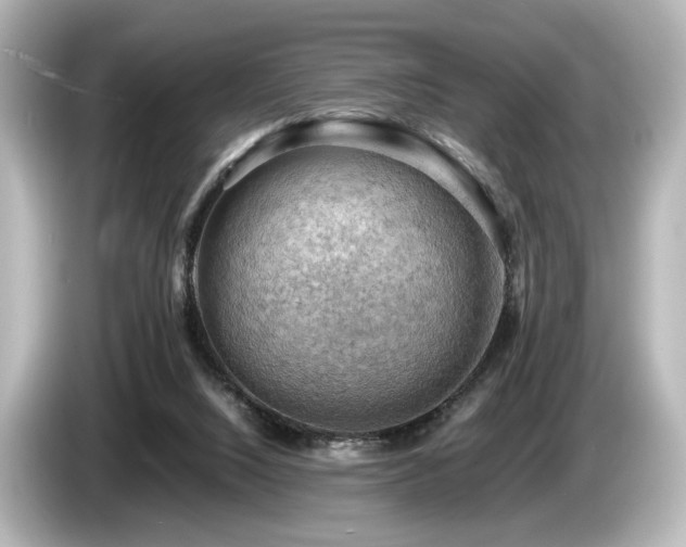 X0000085740064200703161037