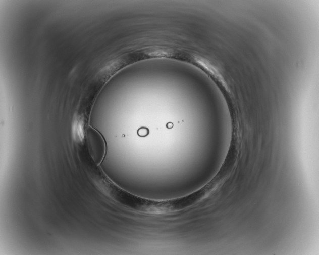 X0000085740069200703161037