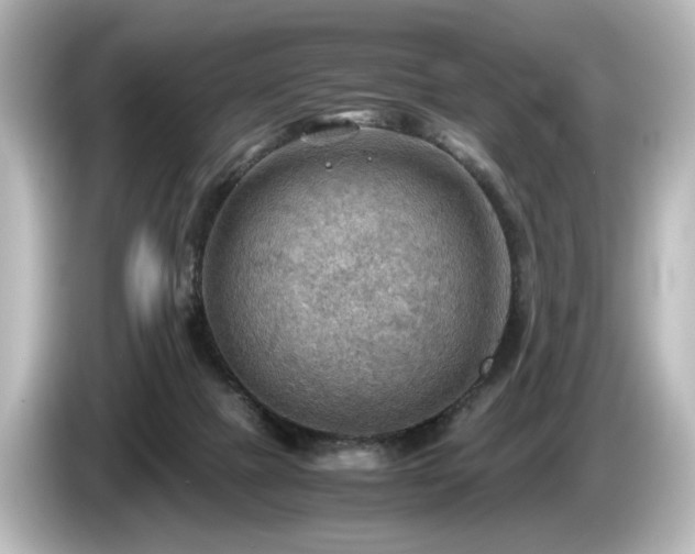 X0000085740073200703161037