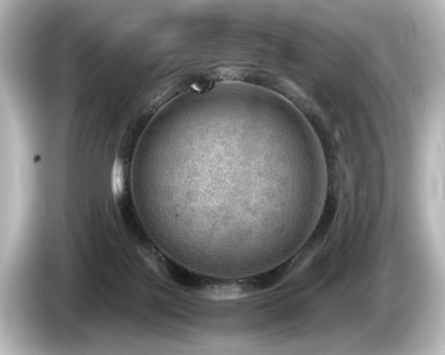 X0000085740075200703161037