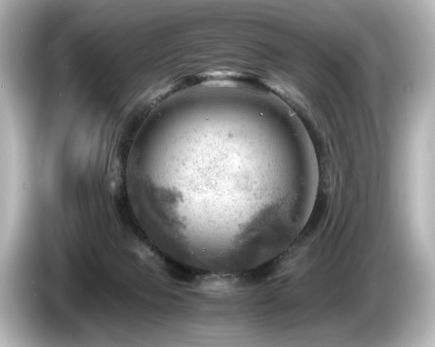 X0000085740077200703161037